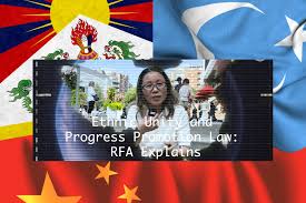 Explained: China’s ‘ethnic unity and progress promotion’ law